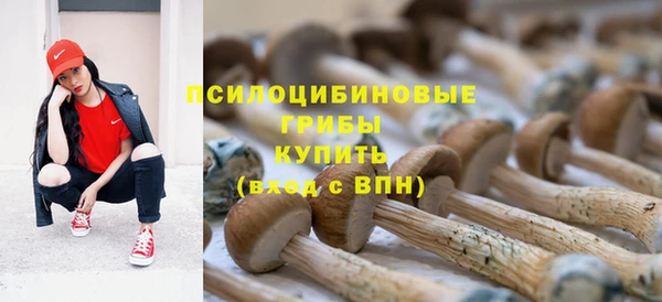 ПСИЛОЦИБИНОВЫЕ ГРИБЫ Михайловск
