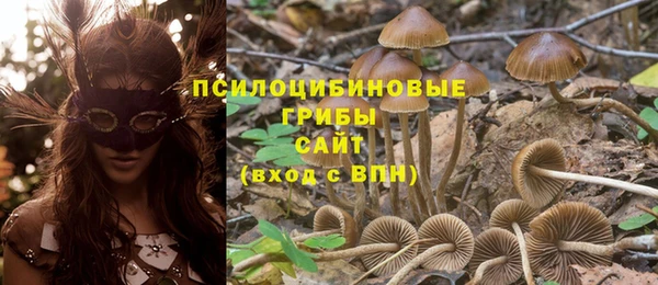 дживик Михайловка