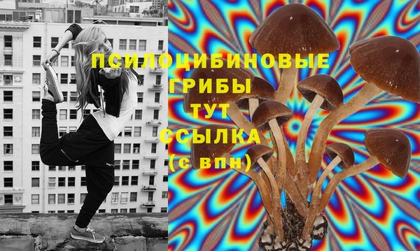 ПСИЛОЦИБИНОВЫЕ ГРИБЫ Михайловск