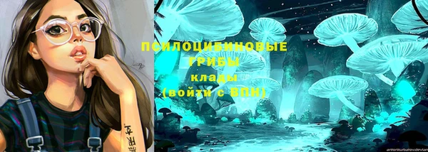 дживик Михайловка