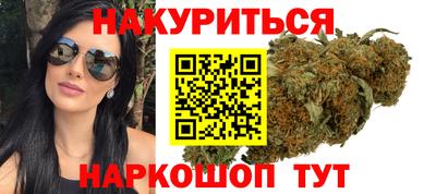 индика Заводоуковск