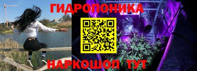 индика Заводоуковск