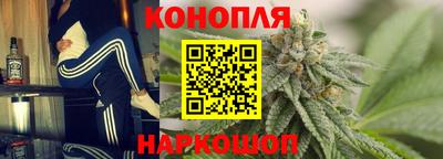 индика Заводоуковск