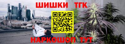 индика Заводоуковск