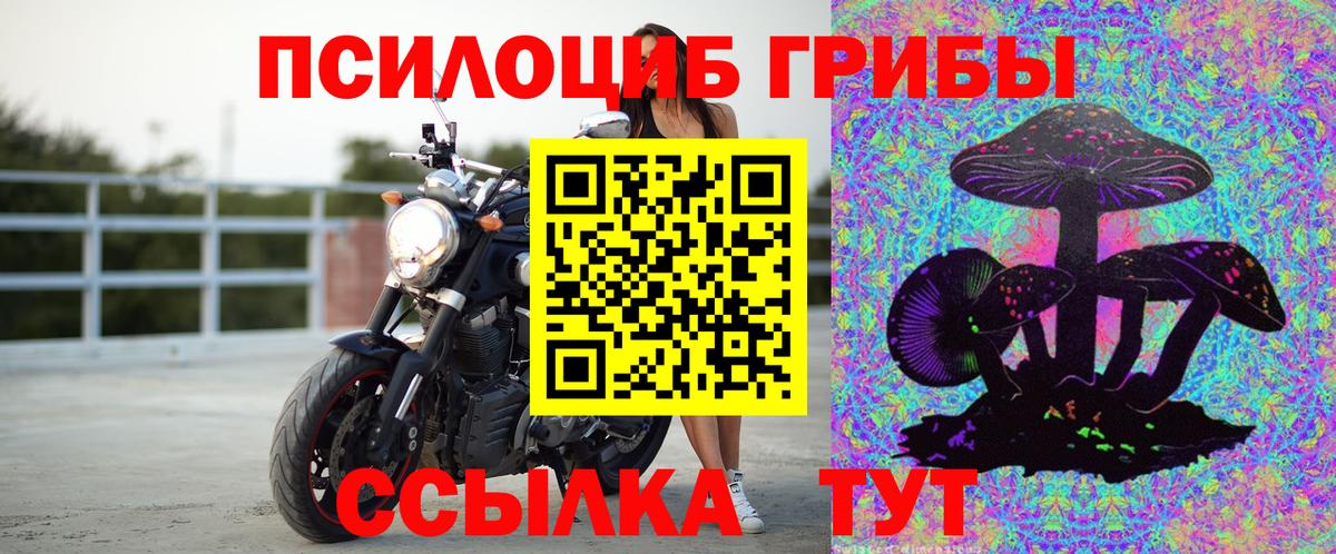Галлюциногенные грибы MAGIC MUSHROOMS Зима