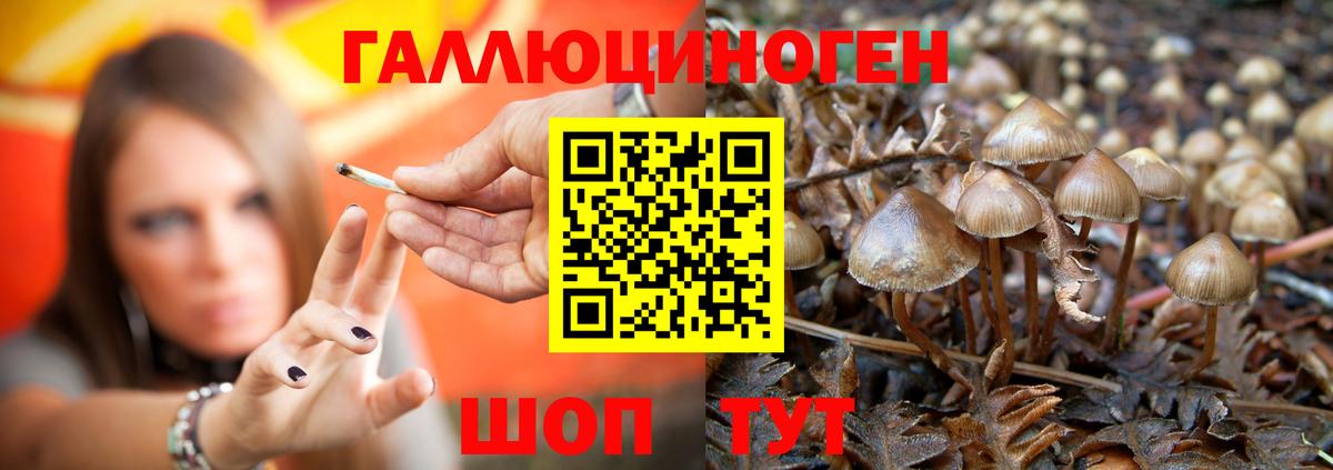 Псилоцибиновые грибы мицелий  Вход с VPN  Зима 