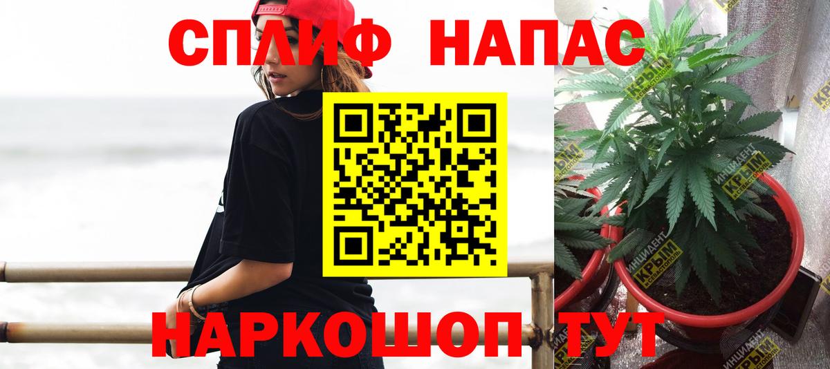 Канабис OG Kush Зима